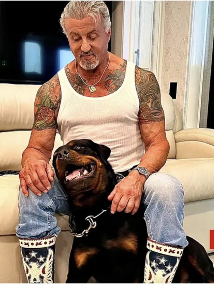 Celebrities Own Rottweiler Dogs,Leonardo DiCaprio,sylvester stallone,Will Smith,Mohan Lal,Tulisa Contostavlos,Robbie Williams,Brody Jenner,Miley Cyrus,Bruno Mars,Stephen Marley